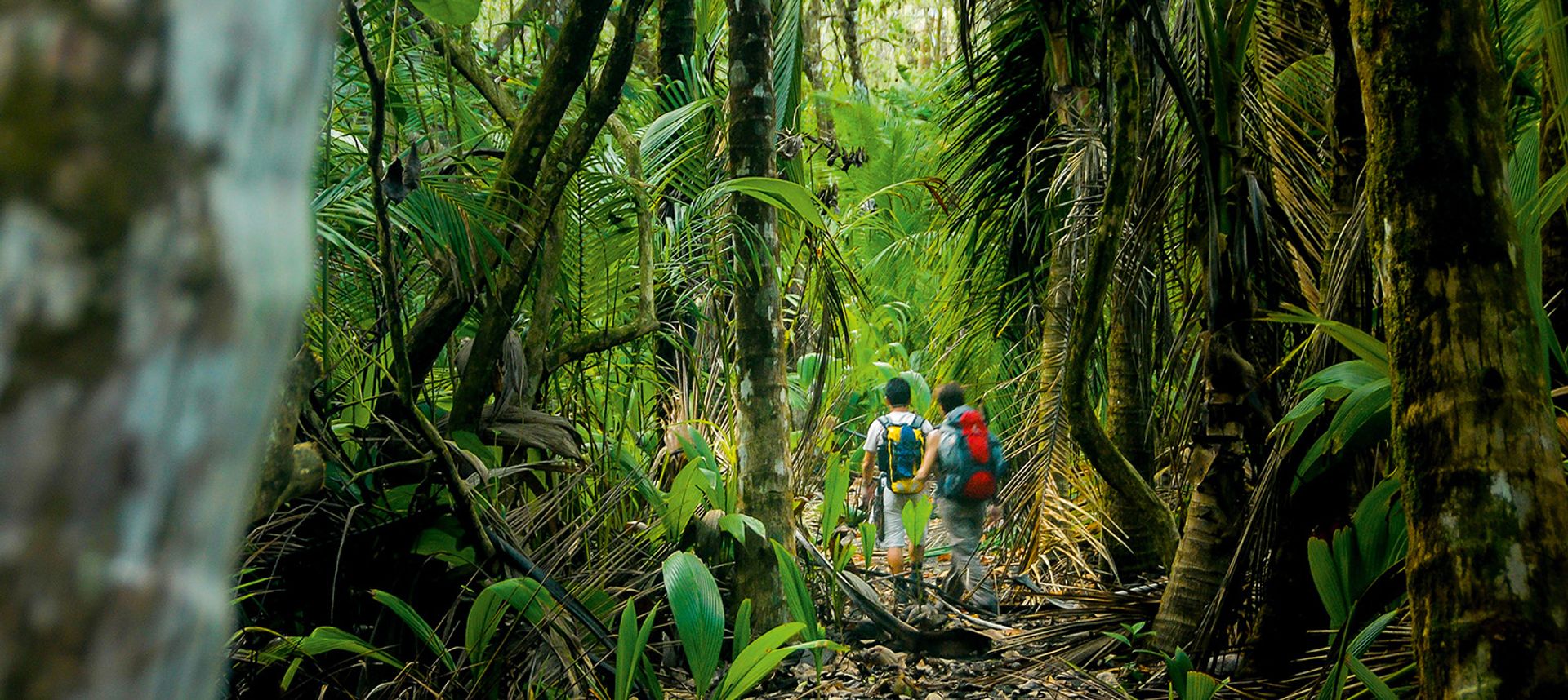 Trip planner: Sustainable Costa Rica